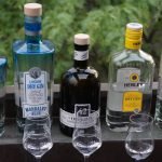 Discounter-Gins im Test: Aldi, Lidl, Penny und Netto – lecker oder bloß billig?